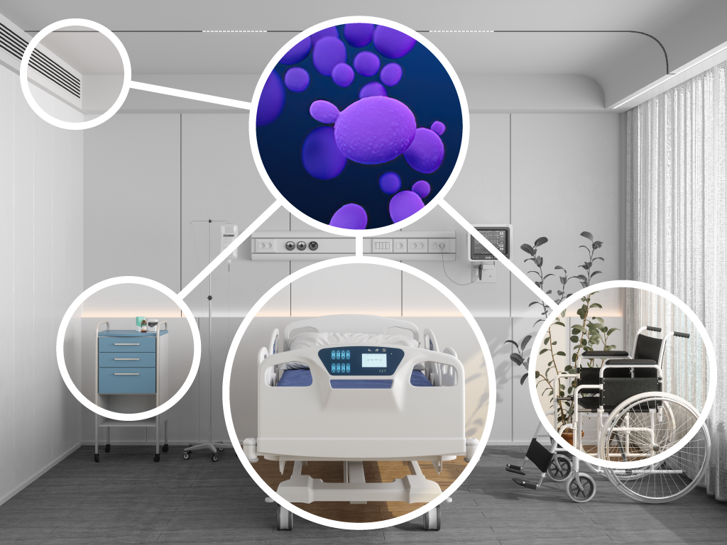 Candida Auris is a fungus that can be found in medical and skilled nursing facilities.