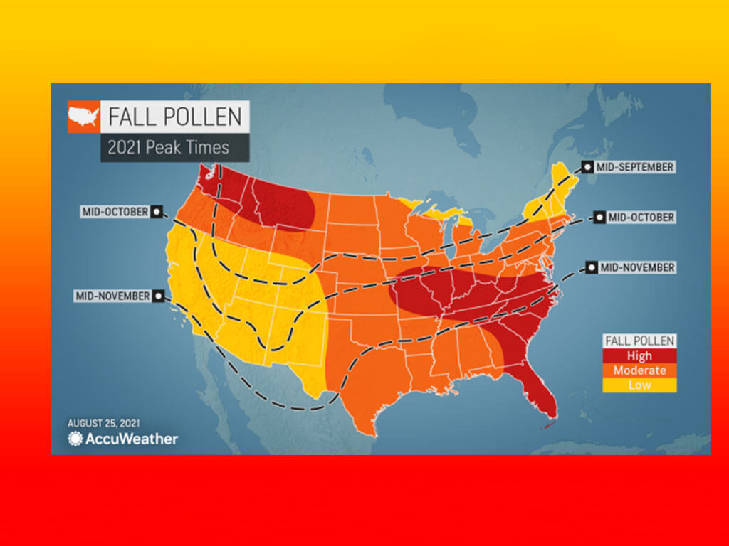2024 Allergy Season Predictions Navigate Spring With Confidence 2024 Allergy Season Predictions Navigate Spring With Confidence