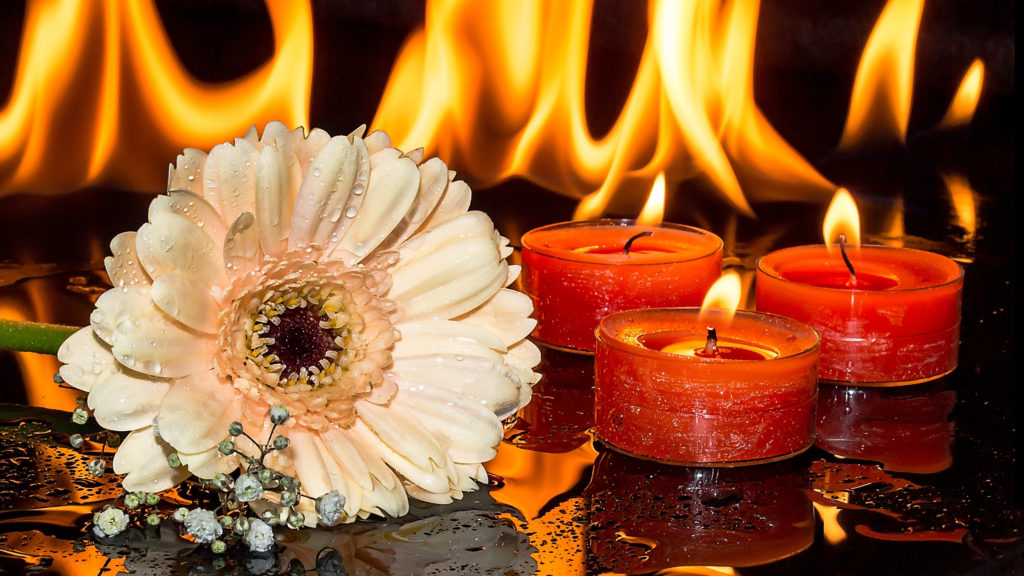 White flower sitting next to red lit red candles, both contribute to air quality control from an Air Purifier