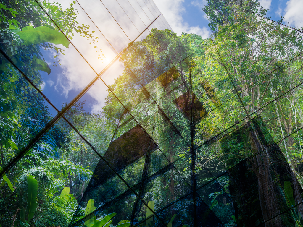A building showing a reflection of green trees in a commercial building window, green building practice is the goal of LEED certification.