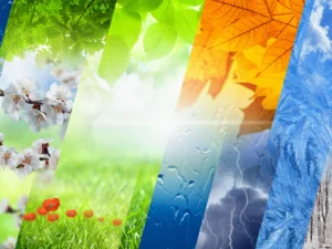 A collage showing the four seasons—spring blossoms, summer greenery, autumn leaves, and winter frost—symbolizing changing weather patterns and climate variability.
