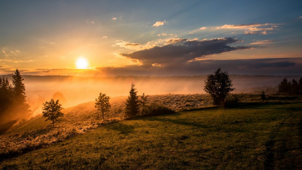 Sun at sunset with fog rolling up a field with rolling hills and some trees scattered along field.