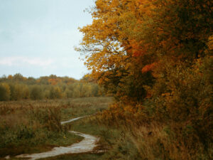 Image of a trail in the beginning of fall.